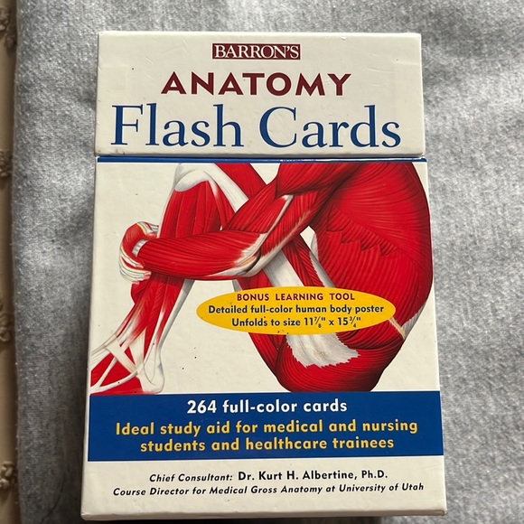 Other Anatomy Flash Cards Poshmark